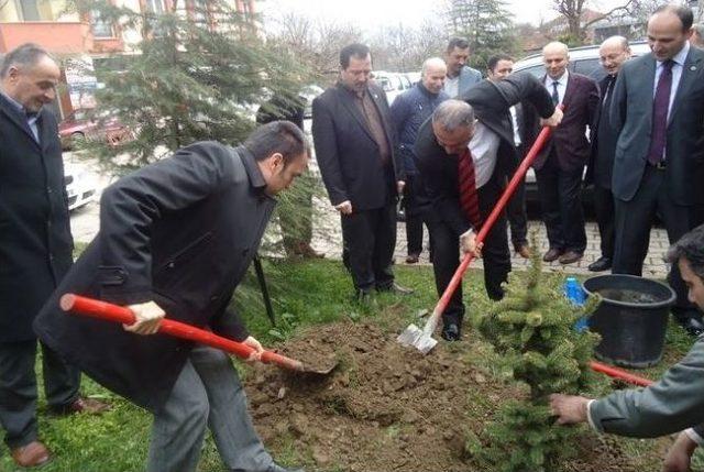 Şehitlerin İsimleri Fidanlarla Yaşatılacak