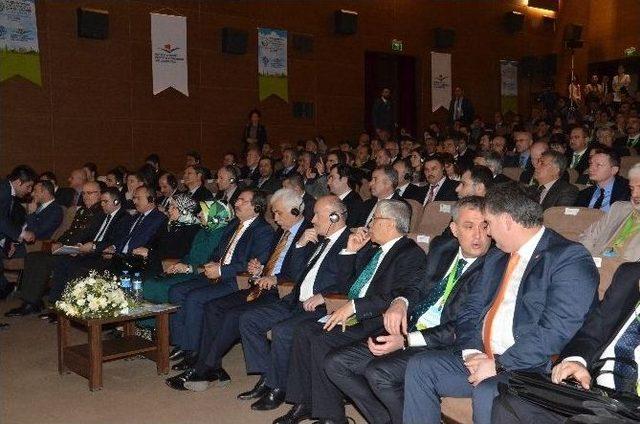 Uluslararası Safranbolu İklim Değişikliği Konferansı