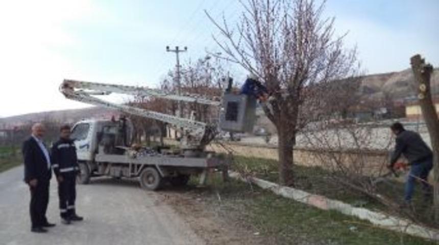 Cihanbeyli&rsquo;de Bahar Hazırlıklarına Başladı