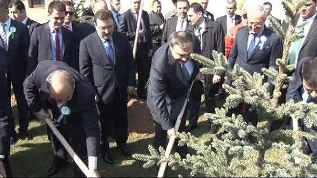 Bakan Eroğlu, Önce Fidan Dikti Sonra Ateşin Üzerinden Atladı