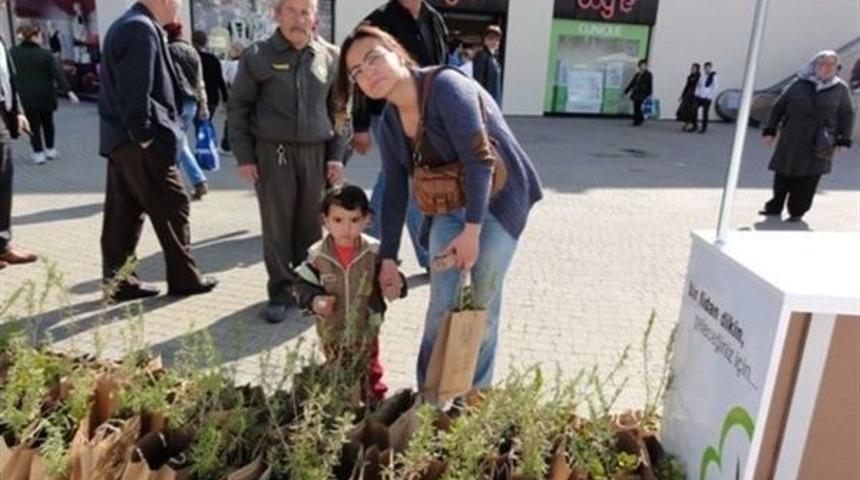 Vatandaşlara Fidan Dağıtıldı