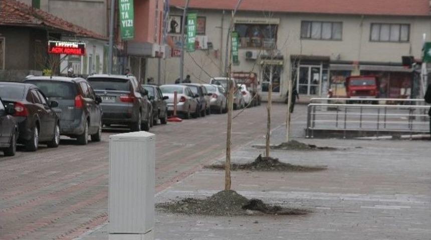 Ağaçlandırma Çalışmaları Başladı