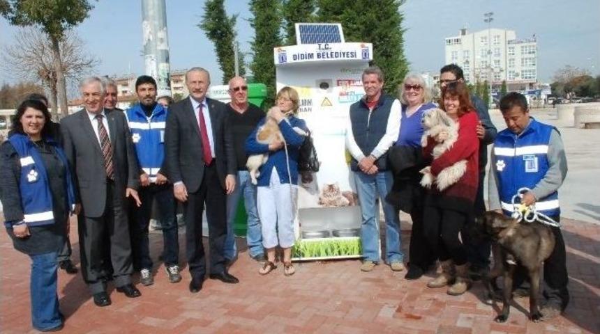 Didim’de Sokak Hayvanlarına Mamamatik Hizmeti