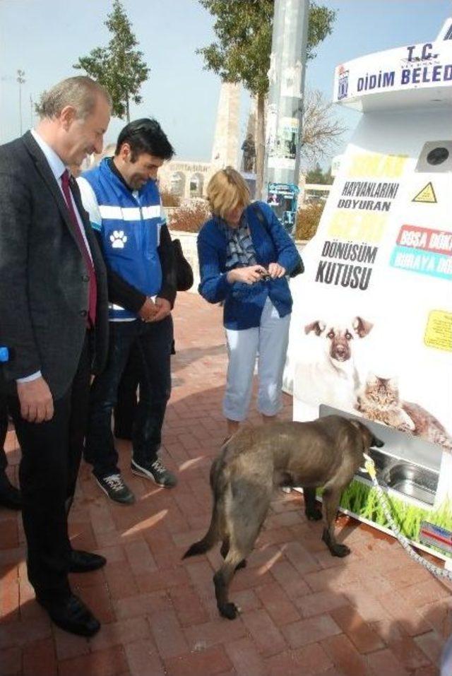 Didim’de Sokak Hayvanlarına Mamamatik Hizmeti