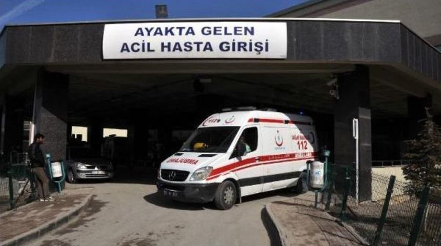 Van'da Domuz Gribi Ş&uuml;phesi