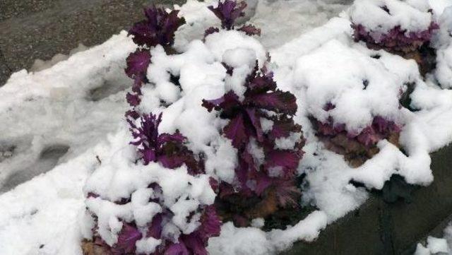 Elazığ'da 146 Köy Yolu Kardan Kapandı