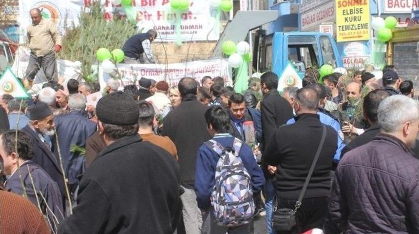 Çankırı’da 13 Bin 773 Adet Fidan Dağıtıldı