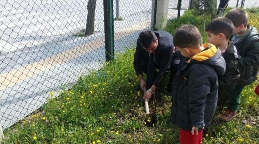 Yunusemre&rsquo;de Minik &Ouml;ğrenciler G&uuml;l Dikti