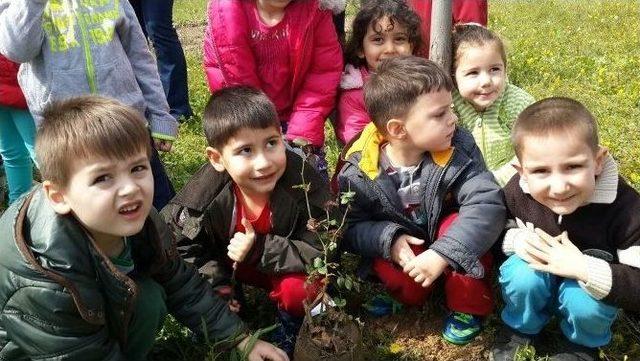 Yunusemre’de Minik Öğrenciler Gül Dikti