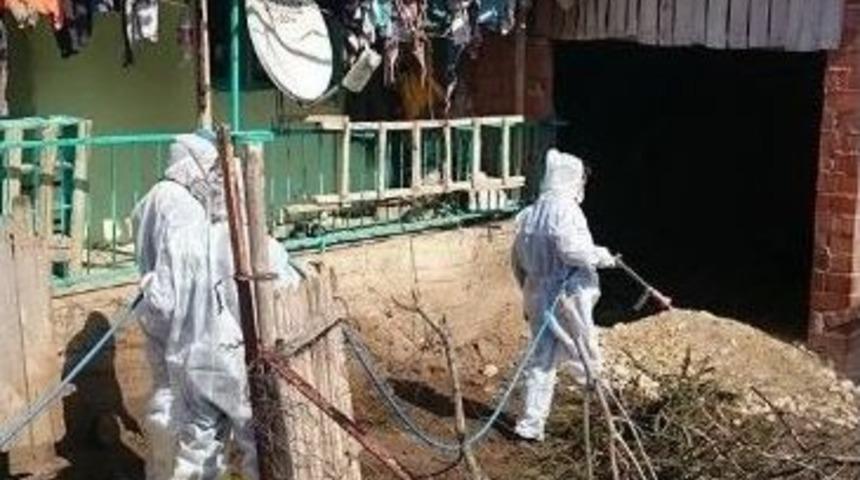 Demirci&rsquo;de Haşere İle M&uuml;cadele &Ccedil;alışmaları