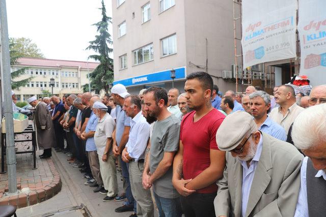 Yaban arısı sokan çiftçi öldü