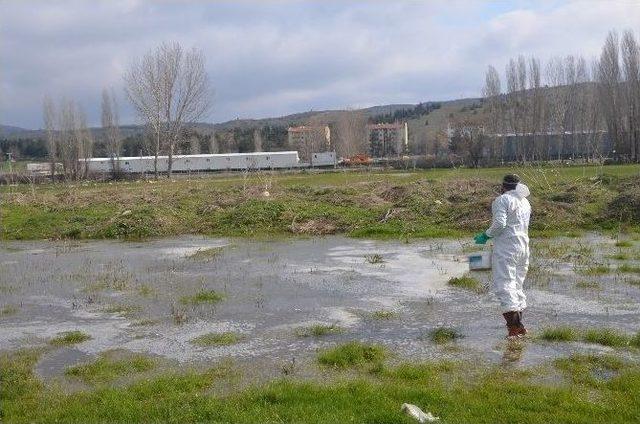 Bozüyük’te Larva Mücadelesi Su Birikintilerinde Devam Ediyor