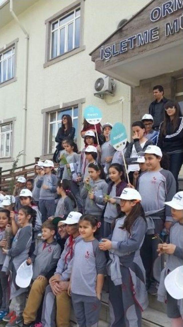 Başarı Koleji Tema Kulübü’nden Orman İşletme Müdürlüğü’ne Ziyaret