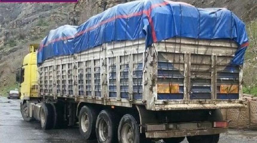 &Ccedil;ukurca'da 11 Ton Ka&ccedil;ak &Ccedil;ay Ele Ge&ccedil;irildi