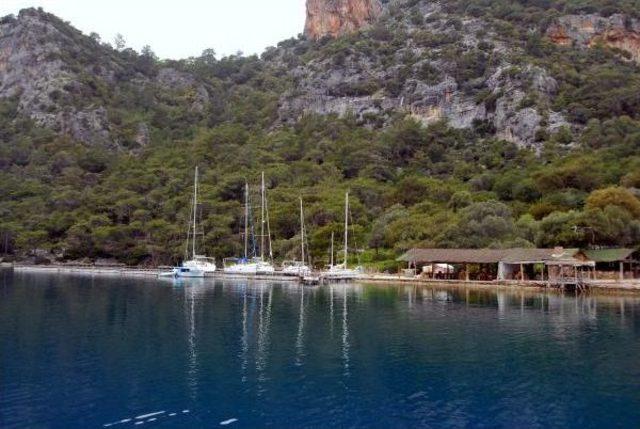 G&ouml;cek Koyları I&ccedil;in I&ccedil;eride Ihale, Dışarıda Eylem 2