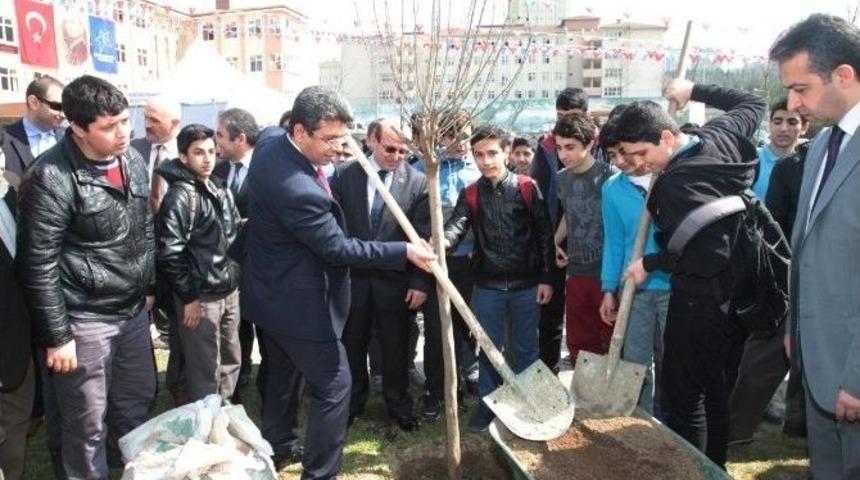 K&uuml;&ccedil;&uuml;k&ccedil;ekmece&rsquo;de Okullara Bin 500 Ağa&ccedil;