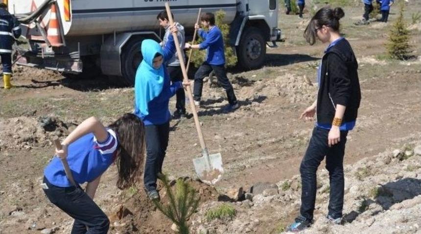 Mimarsinan Bah&ccedil;elievler Mahallesi&rsquo;nde Ağa&ccedil;landırma &Ccedil;alışmaları
