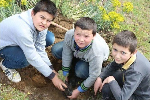 Sarıgöl’de Orman Haftası Kutlandı