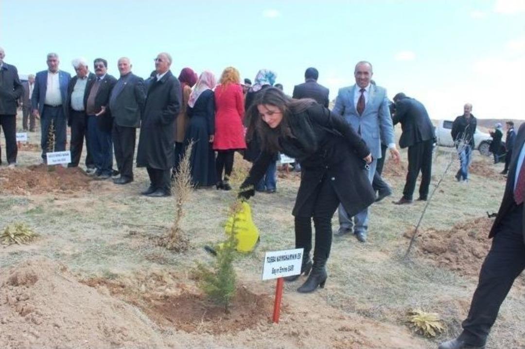 Van&rsquo;da Fidan Dikimi