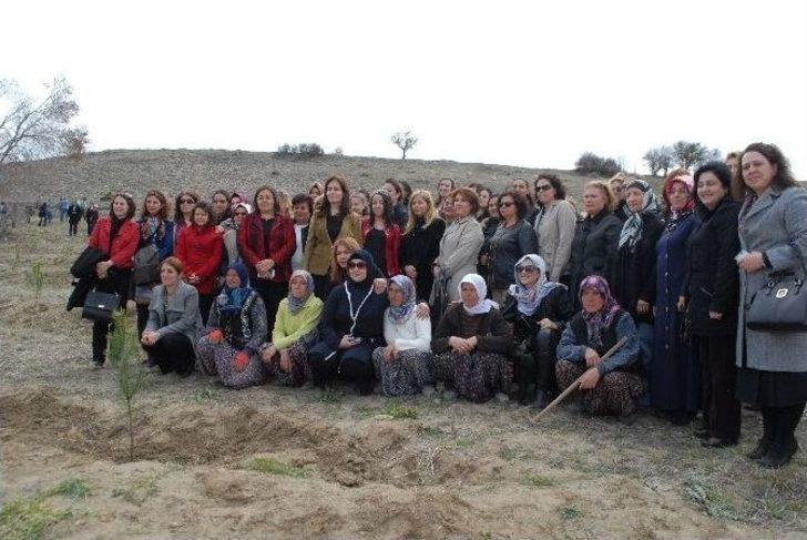 Burdur’a 5 Bin Fidanla Bereket Ormanı G2