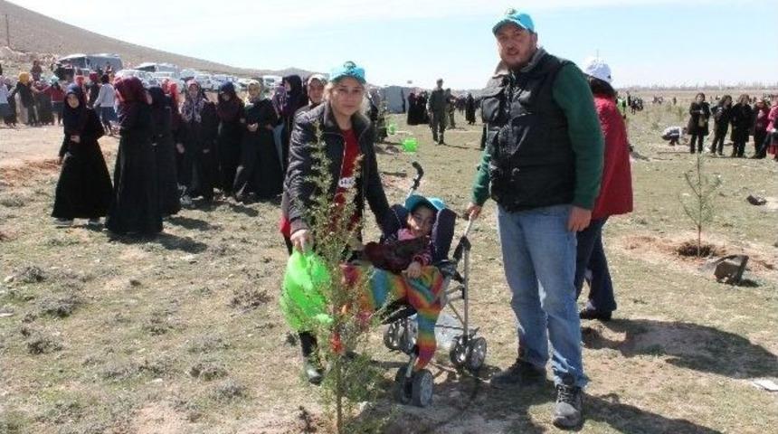 G&ouml;n&uuml;l El&ccedil;ileri &ldquo;bereket Ormanı&rdquo; Oluşturdu