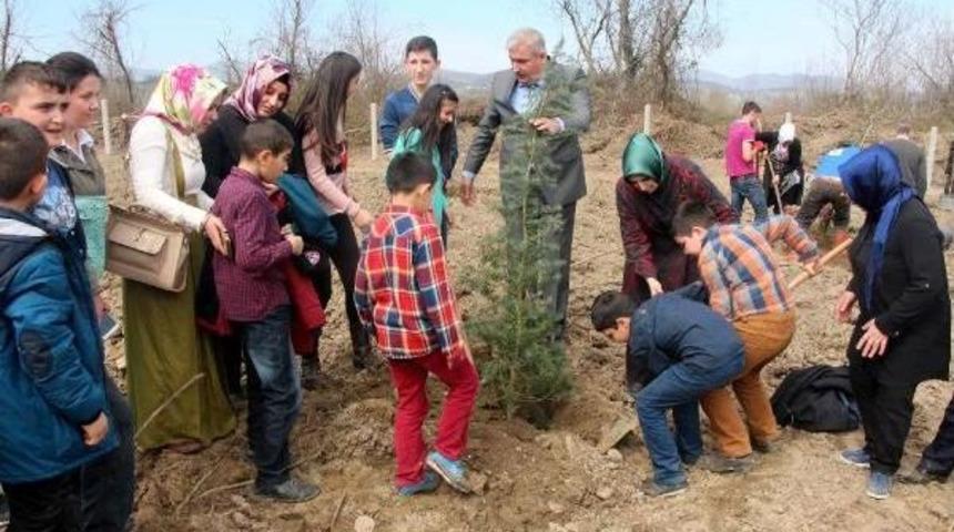 G&ouml;n&uuml;l El&ccedil;ileri 2 Bin Fidan Dikti