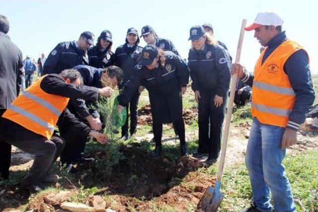 Şanlıurfa’Ya Bu Yıl 2 Milyon Fidan Dikilecek