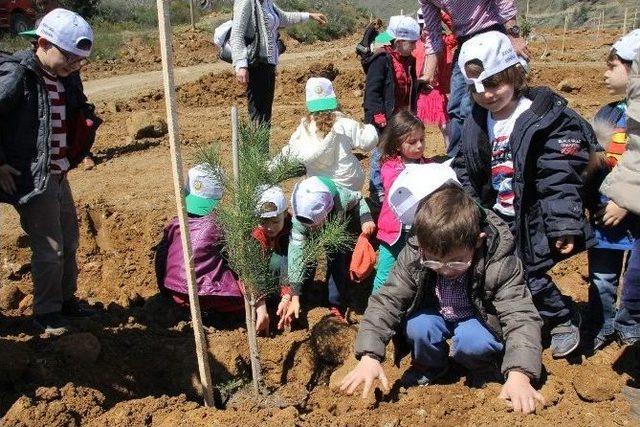 Hatay’da Bereket Ormanına 10 Bin Fidan