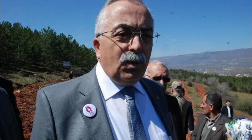 Vali Can, Evlilik Hatıra Ormanı Konusunda Son Noktayı Koydu