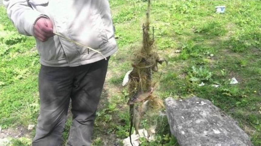 Su &Uuml;r&uuml;nleri Av Yasağı Başlıyor