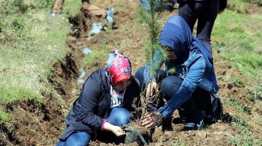 &lsquo;bereket Ormanları&rsquo; Projesi Samsun&rsquo;da Hayat Buldu