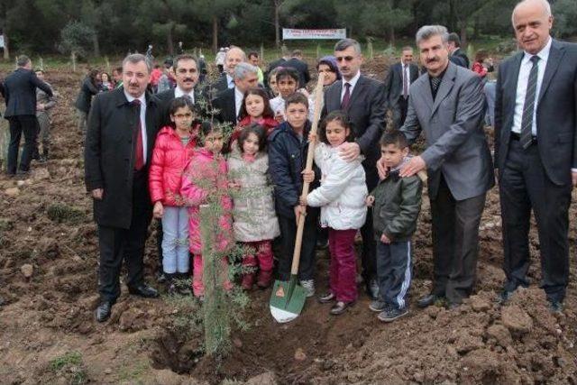 Manisa'da Gönül Elçileri Bereket Ormanı Kuruldu