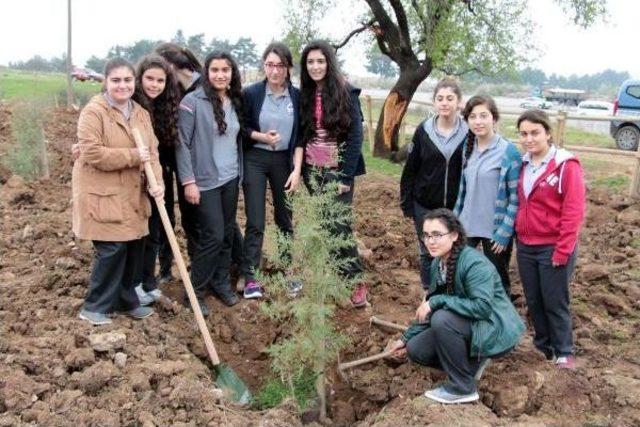 Manisa'da Gönül Elçileri Bereket Ormanı Kuruldu