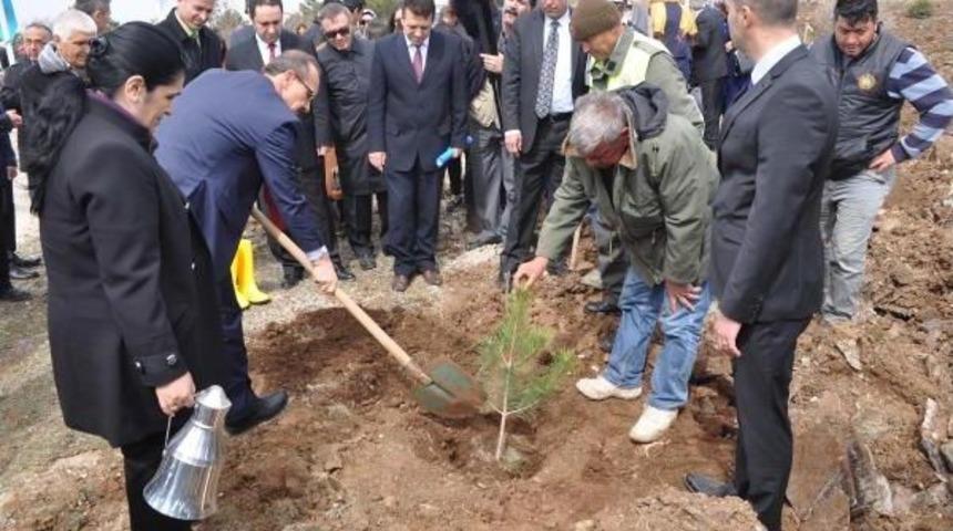 Uşak'ta G&ouml;n&uuml;l El&ccedil;ileri 2 Bin Fidan Dikti