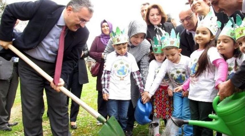 Bereket Ormanında Fidanlar Toprakla Buluştu