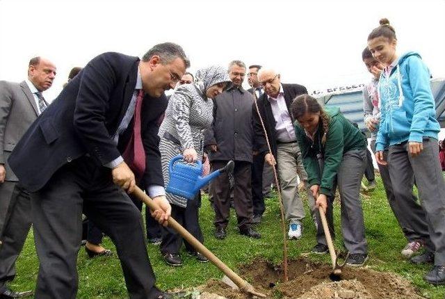 Bereket Ormanında Fidanlar Toprakla Buluştu