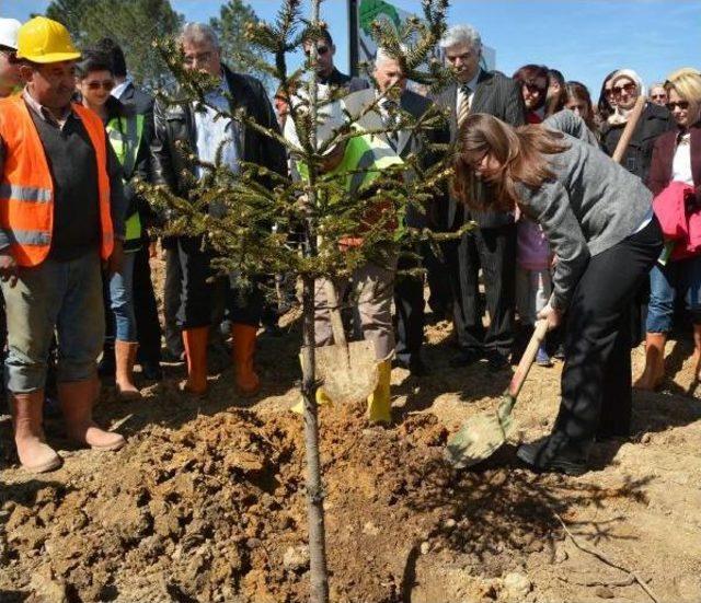 Sinop'ta Bereket Ormanı Için 16 Bin 500 Fidan Dikildi
