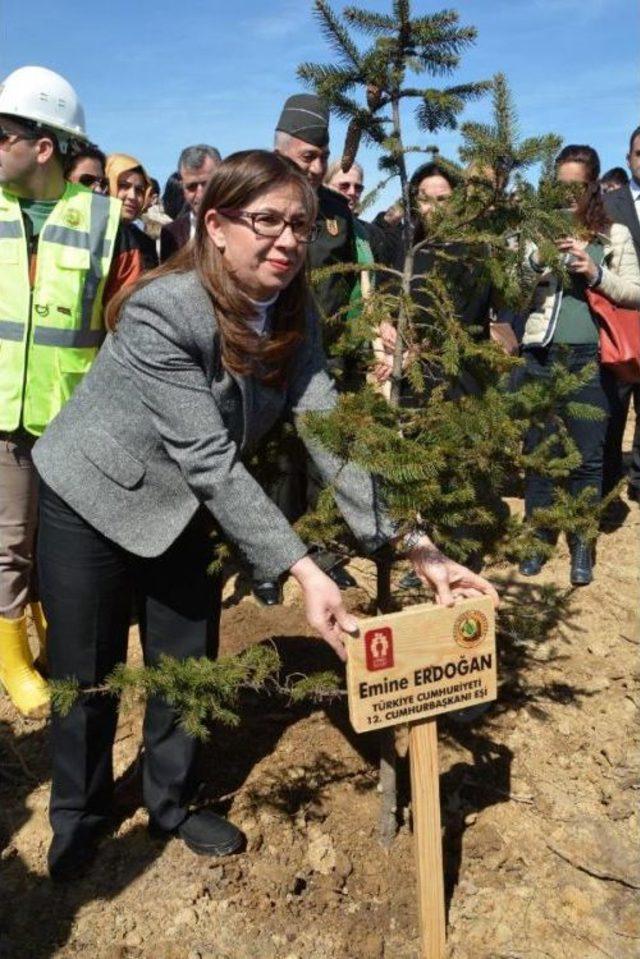 Sinop'ta Bereket Ormanı Için 16 Bin 500 Fidan Dikildi