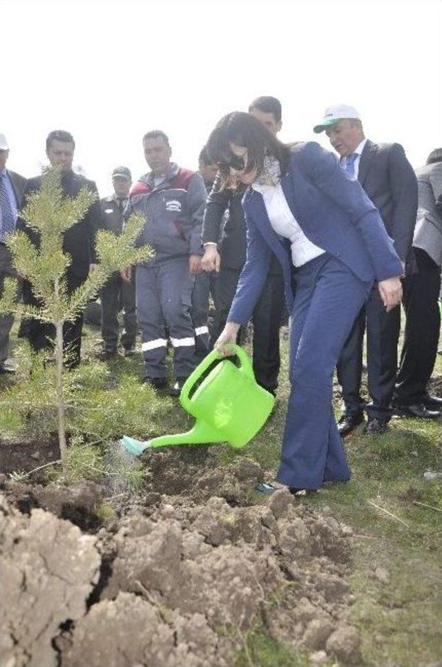 Afyonkarahisar’da “bereket Ormanı” Kuruldu