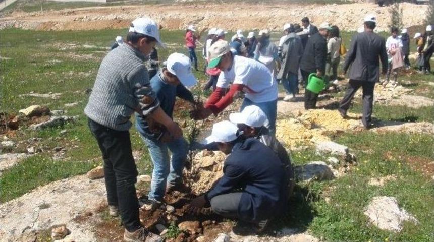 "g&ouml;n&uuml;l El&ccedil;ileri Projesi "