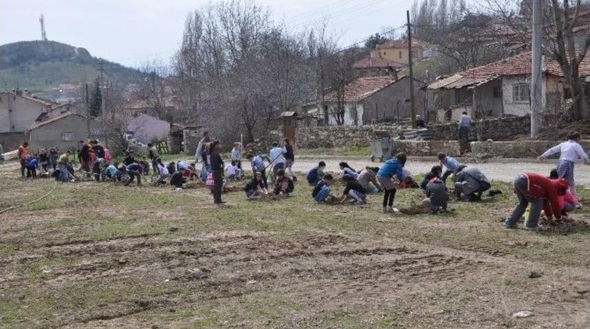 Boz&uuml;y&uuml;k&rsquo;te &Ouml;ğrenciler Fidan Dikti