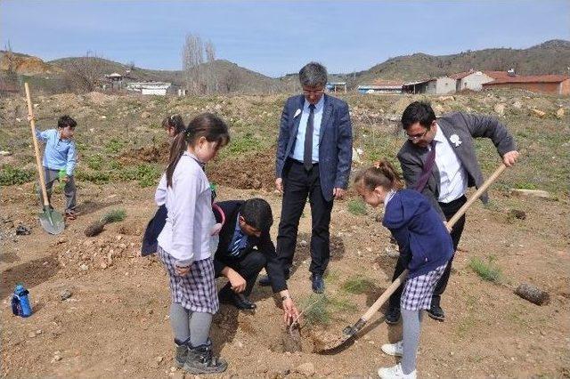 Bozüyük’te Öğrenciler Fidan Dikti