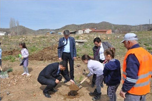 Bozüyük’te Öğrenciler Fidan Dikti