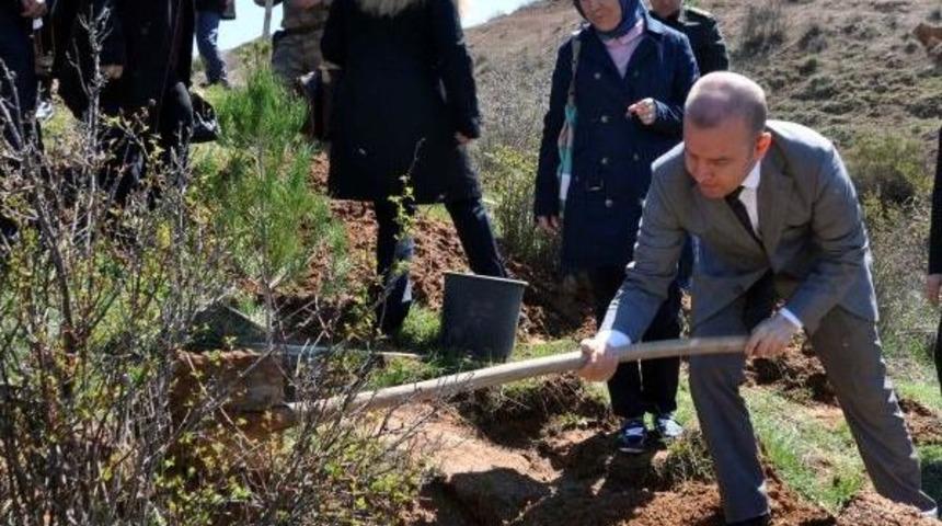 Adıyaman'da 1500 Fidan Dikildi