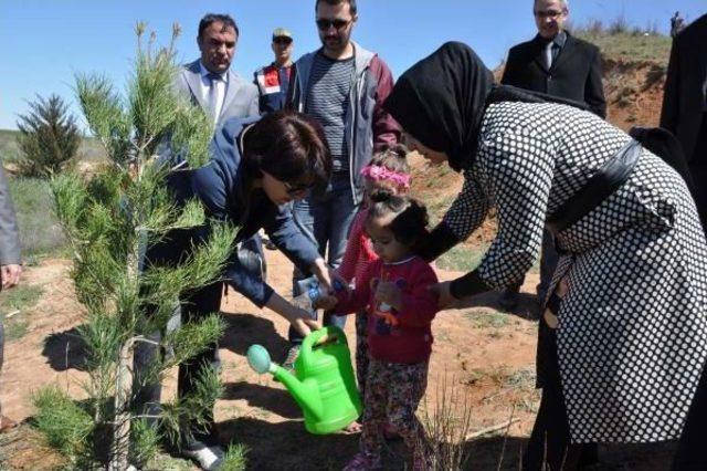 Adıyaman'da 1500 Fidan Dikildi