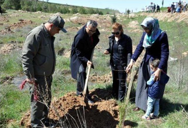 Adıyaman'da 1500 Fidan Dikildi