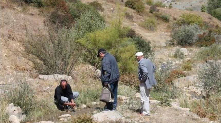 &Ccedil;oruh Havzası Projesi Kapsamında &Ccedil;ift&ccedil;i Destekleri Başladı