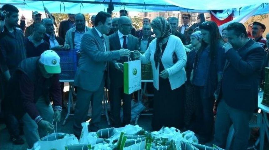 Kozan&rsquo;da On Bin Eve On Bin Fidan Dağıtılacak