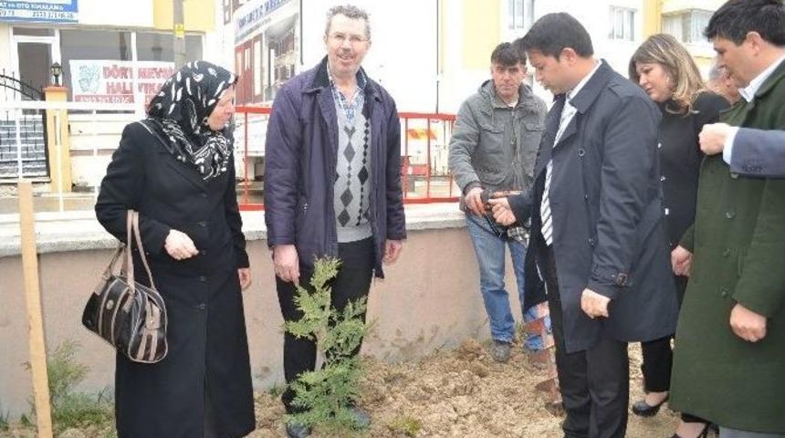 300 Fidan Kapaklı&rsquo;da Toprakla Buluştu