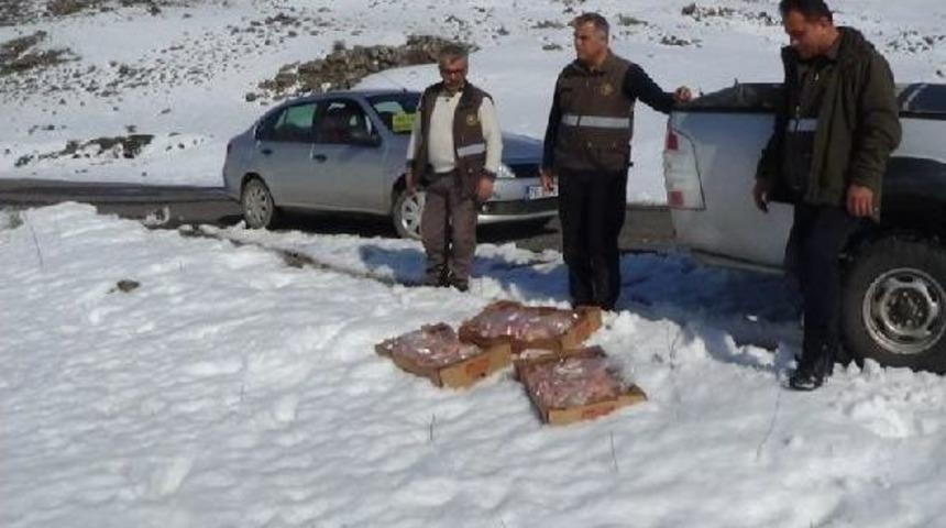 Ağrı Dağı'na Yaban Hayvanları I&ccedil;in Yem Bırakıldı